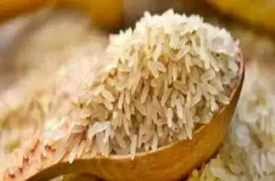 हाल ही में निर्यात में वृद्धि के बाद टूटे चावल के निर्यात पर लगा प्रतिबंध: केंद्र