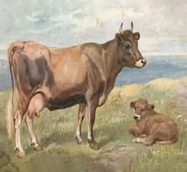 गाय और बछिया के साथ रेप