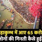 head count in mahakumbh 2025