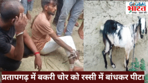 Pratapgarh bakri chor
