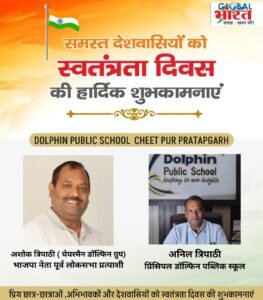 dolphin public school
